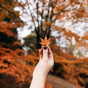 Otoño e Invierno con Medicina China y Natural
